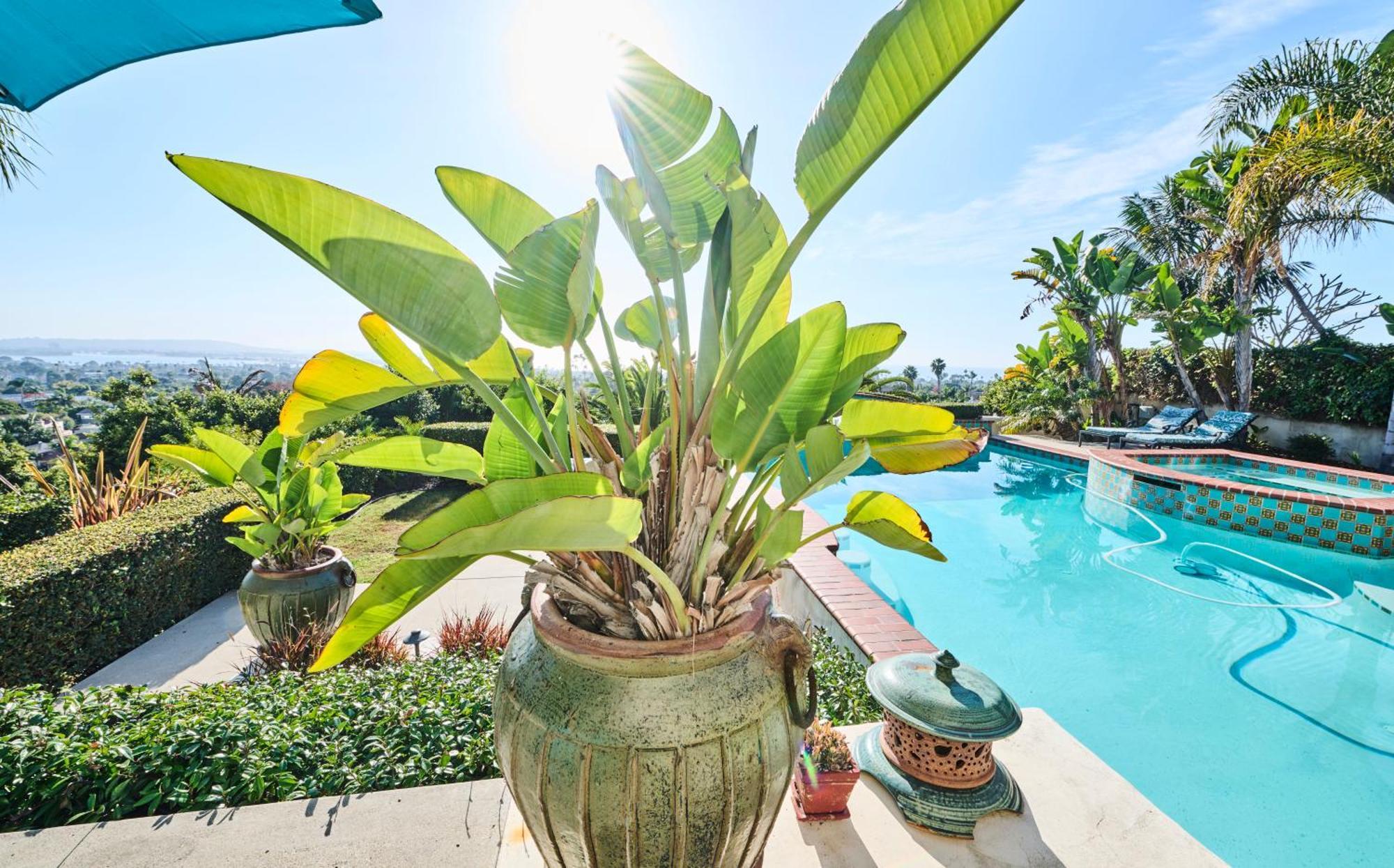 360 Degree Ocean & City Views With Pool, Spa, Close To The Beach! Pets Ok San Diego Exterior foto